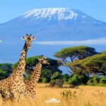 Keňa: Divočina i relax