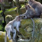 Bali: Za dobrodružstvím