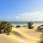 Keňa: Divočina i relax