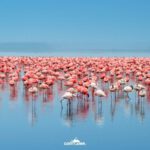 Keňa: Divočina i relax