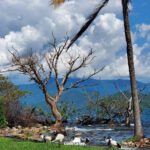 Keňa: Divočina i relax