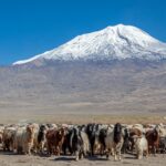 Turecko: Výstup na Ararat