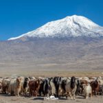 Turecko: Výstup na Ararat