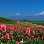 Turecko: Výstup na Ararat