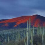 Mexiko: Na vlastní kůži