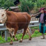 Vietnam: Na vlastní kůži