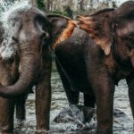 Laos – Zapomenutý klenot Asie