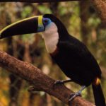 Autentická Kolumbie