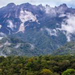 Borneo: Dotek divočiny