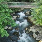 Borneo: Dotek divočiny