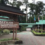 Borneo: Dotek divočiny