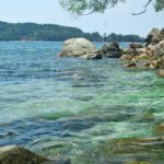 Borneo: Dotek divočiny