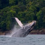 Autentická Kolumbie