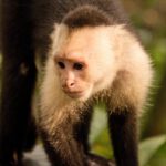 Autentická Kolumbie