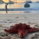 Karibik: Dobrodružství na plachetnici