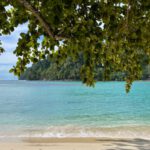 Borneo: Dotek divočiny