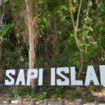 Borneo: Dotek divočiny