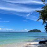 Borneo: Dotek divočiny