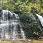 Borneo: Dotek divočiny