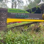 Borneo: Dotek divočiny