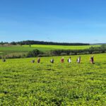 Keňa: Divočina i relax