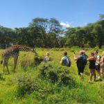 Keňa: Divočina i relax