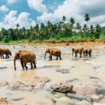 Srí Lanka: Dobrodružství a relax