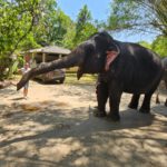 Srí Lanka: Dobrodružství a relax