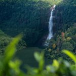 TUK-TUK Challenge | Ostrov lva