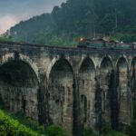 TUK-TUK Challenge | Ostrov lva