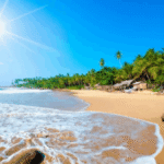 TUK-TUK Challenge | Ostrov lva