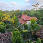 Srí Lanka: Od neprobádaného severu k plážím jihu