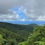 TUK-TUK Challenge | Ostrov lva