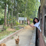 Srí Lanka: Od neprobádaného severu k plážím jihu