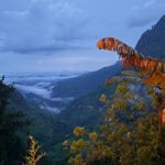 Srí Lanka: Dobrodružství a relax