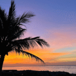 TUK-TUK Challenge | Ostrov lva