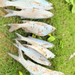 Ghana: Expedice za surfem a vůní Afriky