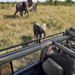 Kilimandžáro: Na vrchol Afriky