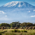 Kilimandžáro: Na vrchol Afriky