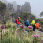 Kilimandžáro: Na vrchol Afriky