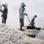 Kambodža: Nevšední klenot Asie