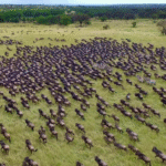 Kilimandžáro: Na vrchol Afriky