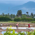 Kambodža: Nevšední klenot Asie