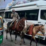 Indie: Motorkou přes Himaláje