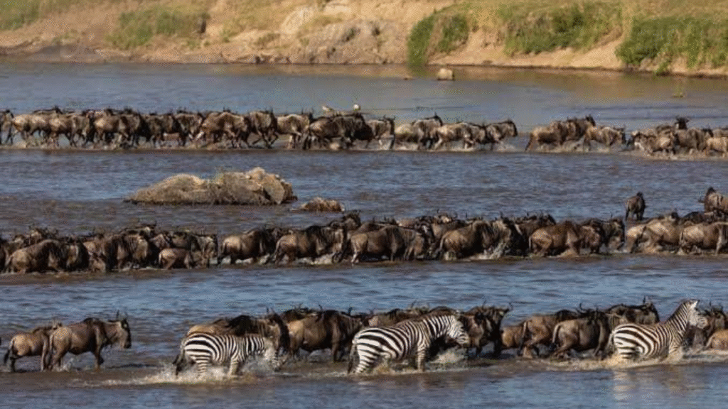 Kilimandžáro – cesta na střechu Afriky