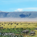 Kilimandžáro: Na vrchol Afriky