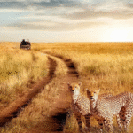 Kilimandžáro: Na vrchol Afriky