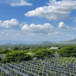 Kambodža: Nevšední klenot Asie