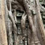 Kambodža: Nevšední klenot Asie
