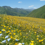 Gruzie: Výprava do srdce Thušska